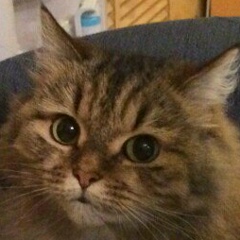 Михаил Литвин, 19.02.1989