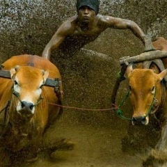 Ильнур Иванов, Набережные Челны