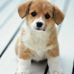 Айшат Лепиева, 23.04.1989, Москва