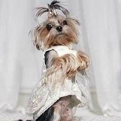 Анастасия Рыжкова, 08.05, Невьянск