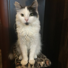 Мария Евстафьева, 24.12, Санкт-Петербург