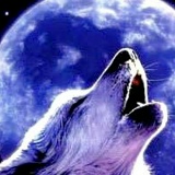 Владимир Ильин, 14.01.1981, Алматы