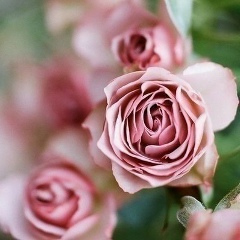 Динара Тусупбаева, 12.10, Алматы