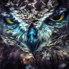 Ильнур Аксанов, 21.03.1994, Казань