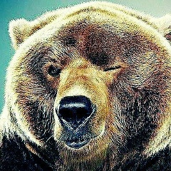 Евгений Бережной, 11.05.1983, Санкт-Петербург