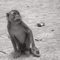 Иван Остривной, 24.02, Санкт-Петербург