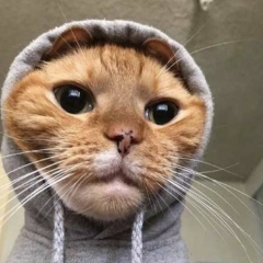 Даулет Орынбасар, 22.05, Алматы