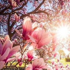 Сауле Игисинова, 13.12, Алматы