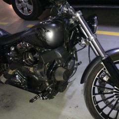 Vladimir Sungurov, 21.04