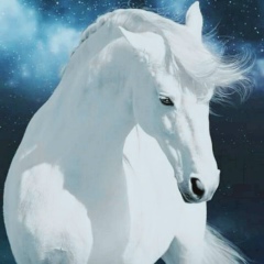 Толеби Тенизбаев, 09.05.1991, Шымкент