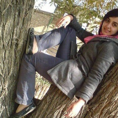 Lava Fateh, 23.12.1986, Sulaymaniyah