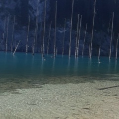 Зарина Каримбековна, 23.11.2006, Сарыагаш