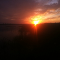 Савва Васильевич, 26.05, Москва