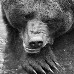 Михаил Цуриков, 02.11.1976, Санкт-Петербург