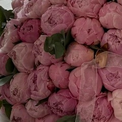 Сусанна Микушина