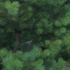 Виталий Марков, 17.04.1984, Ростов-на-Дону