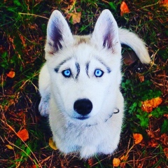 Самат Серикбаев, 09.10