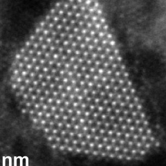 Mayrberk Dzhataev, Санкт-Петербург