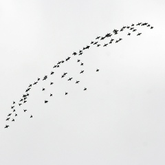 Марина Котлярова, Санкт-Петербург