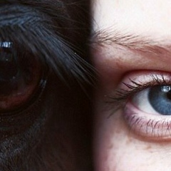 Валерия Майорова, Иркутск