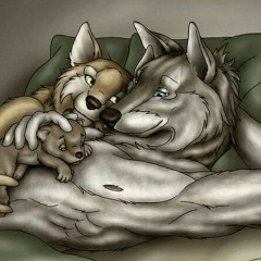 Андрю Ха, 08.06, Санкт-Петербург