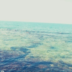 Баршагүл Кадирбай, 31.03.1998, Бейнеу