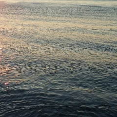 Макс Северный, 26.08, Ростов-на-Дону