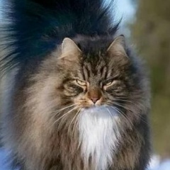 Лена Хохлова, 28.10.1989, Королёв