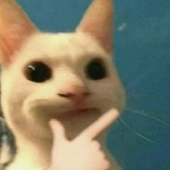 Tim Adonni, 21.06.1994, Sarajevo