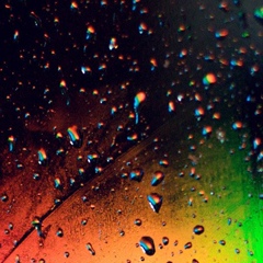 Марина Беззубец, 27.04.1986, Харьков