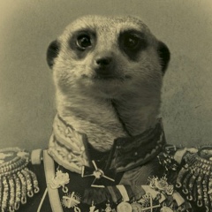 Дмитрий Орлов, 04.09, Санкт-Петербург