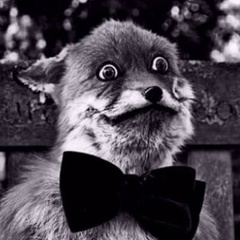 Искандер Летин, 08.12.1988, Москва