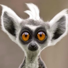 Владимир Донец, 05.11.1983, Киев