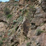 Азамат Ахтанов, 12.04.1993, Алматы