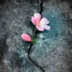 Олеся Бондаренко, 25.03, Москва