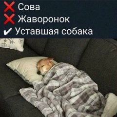 Нина Мартынова, Новосибирск