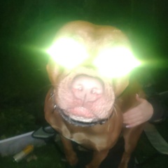 Артём Брыков, 19.03.1984, Санкт-Петербург