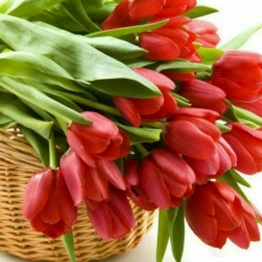 Гулчехра Хайтметова, 29.01.1993, Алматы