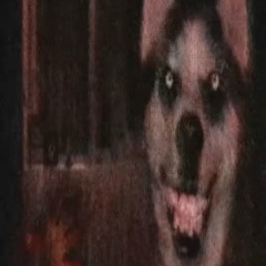 Милена Сергеева, 30.09, California