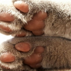 Сергей Писарук, 30.05.1984, Обнинск