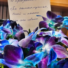 Елена Александрова, 30.05.1982, Санкт-Петербург