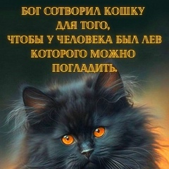 Мака Цгоева, 23.01, Владикавказ