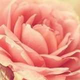 Айнур Сансызбаева, 18.09.1991, Шымкент