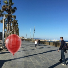 Никита Вавилов, 26.05, Москва