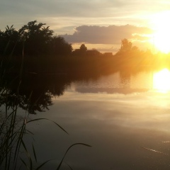 Слава Терентьев, 15.06