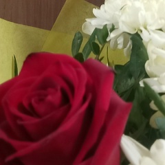 Ирина Ухалова, 30.01, Череповец