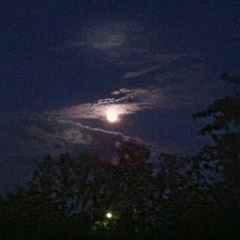 Наталья Якушева, 08.06, Москва