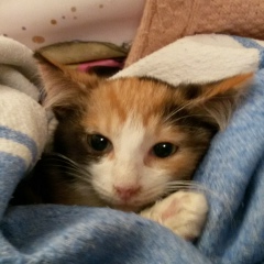 Светлана Тарелкина, 01.07, Нижний Новгород