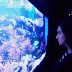 Алина Мустафаева, 11.09.2001, Киев