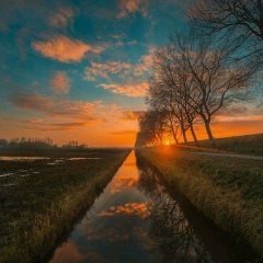 ၿငိမ္းခ်မ္းသူ လယ္ေတာသား, 12.12.2000